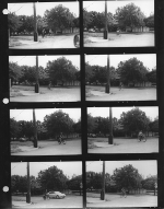 [Contact Sheet]