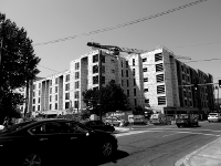 [rabbit hutches under construction]